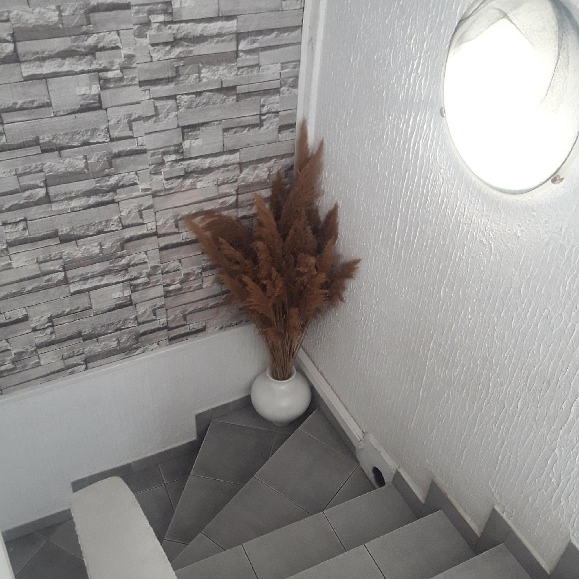 Apartmani Ni エクステリア 写真